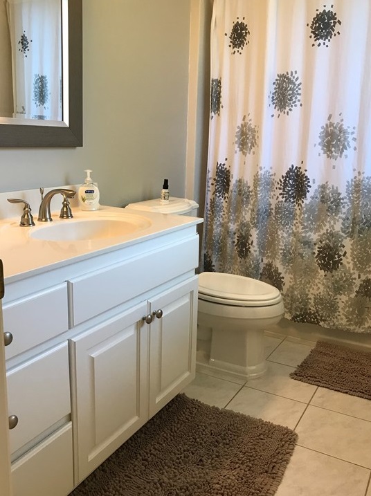 cabinet picture4_102418 